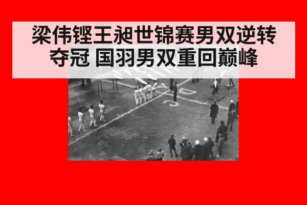 梁伟铿王昶世锦赛男双逆转夺冠 国羽男双重回巅峰
